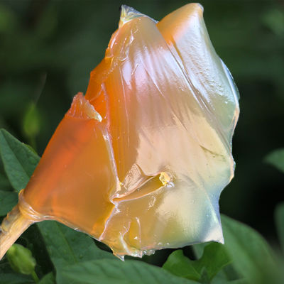 Кальциевый сульфонат Ep Nlgi 2 для тяжелых машин